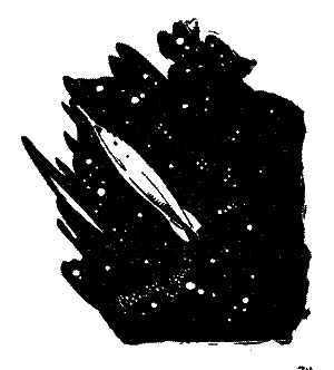 220 дней на звездолёте (илл. Г. Малаков) pic_8.png
