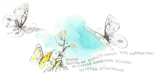 Синий махаон _20141201171933Skrinshotehkrana.jpg