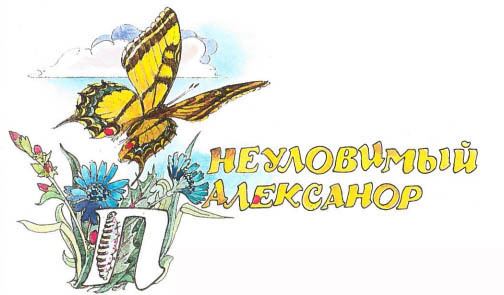 Синий махаон _20141201191032Skrinshotehkrana.jpg