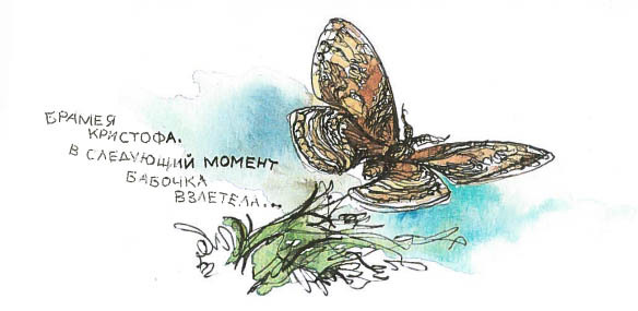 Синий махаон _20141201154246Skrinshotehkrana.jpg