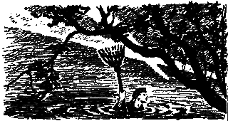 Секретный фарватер(изд.1965) _7.png