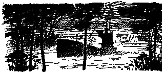 Секретный фарватер(изд.1965) _8.png