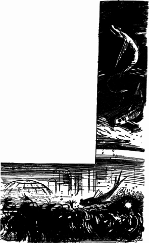 Колумбы неведомых миров pic_15.png