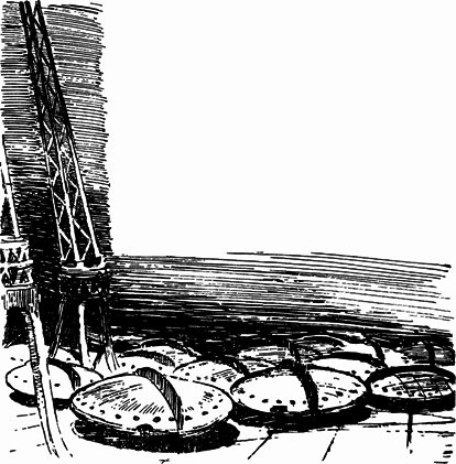 Колумбы неведомых миров pic_17.png