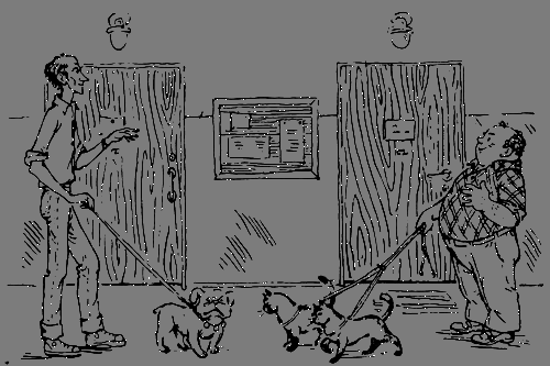 Великий треугольник, или Странствия, приключения и беседы двух филоматиков n047.png