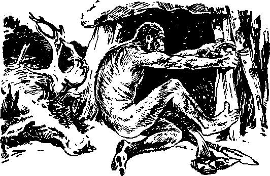 Бог, Адам и общество i_026.jpg