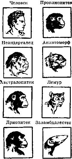 Бог, Адам и общество i_014.jpg
