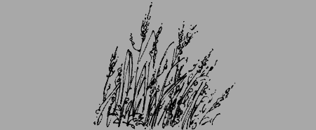 Долгая дорога домой (с илл.) (сборник) img03.png