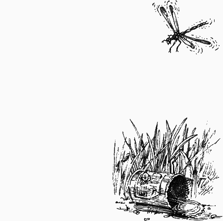 Долгая дорога домой (с илл.) (сборник) img26.png