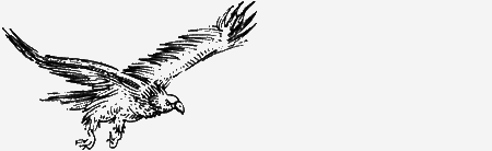 Долгая дорога домой (с илл.) (сборник) img52.png