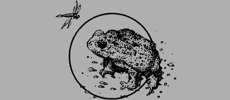 Долгая дорога домой (с илл.) (сборник) img56.png