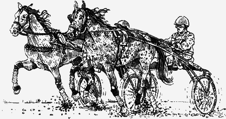 Долгая дорога домой (с илл.) (сборник) img60.png