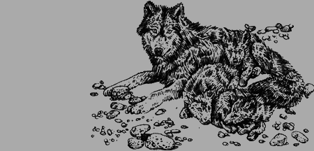 Долгая дорога домой (с илл.) (сборник) img70.png