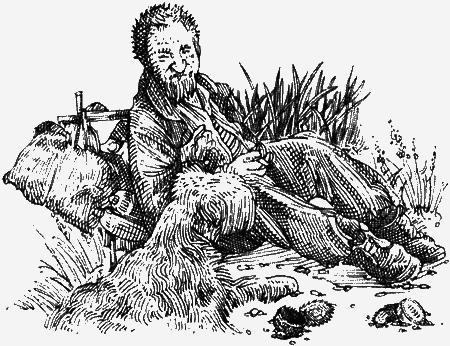Долгая дорога домой (с илл.) (сборник) img09.png