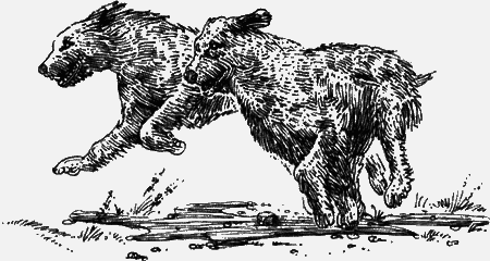Долгая дорога домой (с илл.) (сборник) img11.png