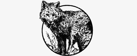 Долгая дорога домой (с илл.) (сборник) img12.png