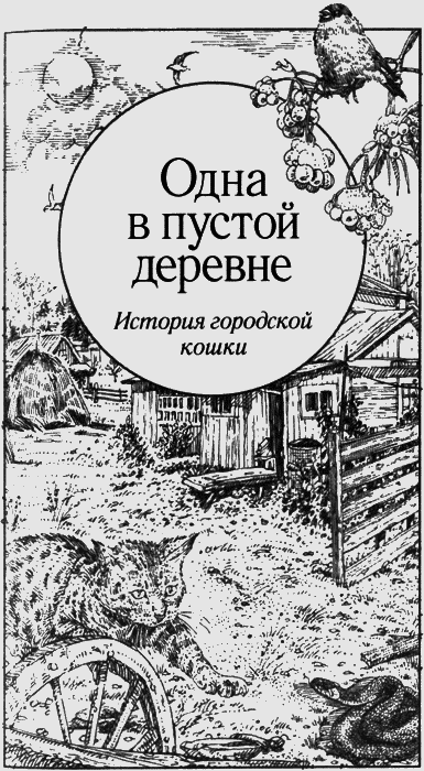 Долгая дорога домой (с илл.) (сборник) img13.png