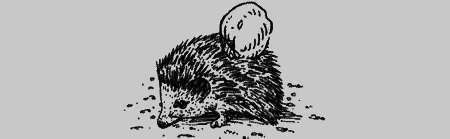 Долгая дорога домой (с илл.) (сборник) img14.png