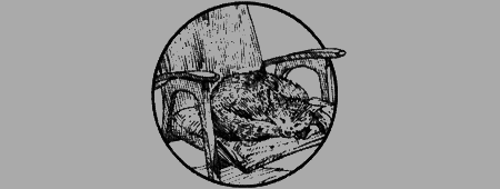 Долгая дорога домой (с илл.) (сборник) img20.png
