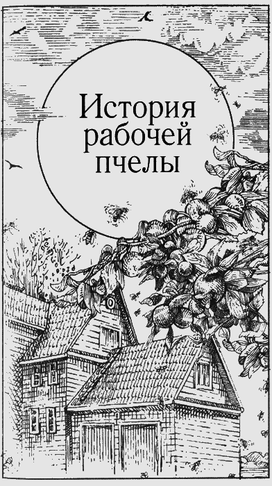 Долгая дорога домой (с илл.) (сборник) img21.png
