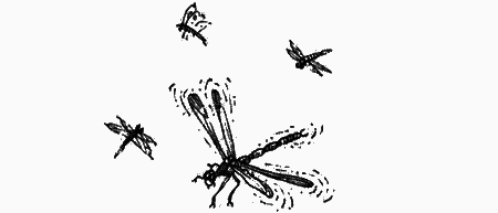 Долгая дорога домой (с илл.) (сборник) img22.png
