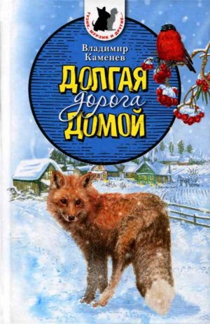 Долгая дорога домой (с илл.) (сборник)