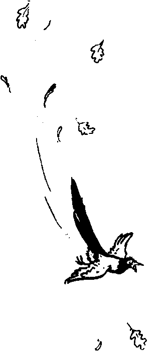 Рыцари Серебряного Щита i_001.png