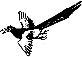 Рыцари Серебряного Щита i_003.png
