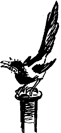 Рыцари Серебряного Щита i_015.png