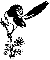 Рыцари Серебряного Щита i_026.png