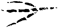 Рыцари Серебряного Щита i_005.png