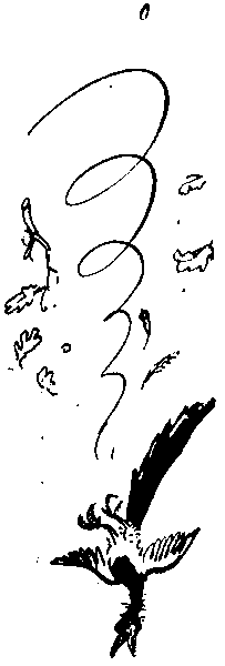 Рыцари Серебряного Щита i_029.png