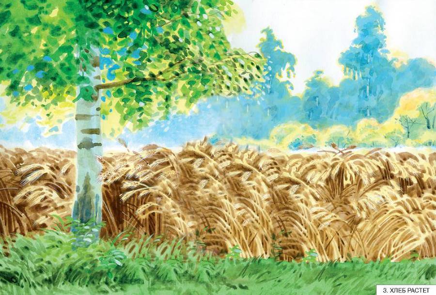 Как наши предки выращивали хлеб _3.jpg