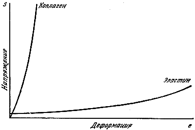 Конструкции, или почему не ломаются вещи GORD0560.png