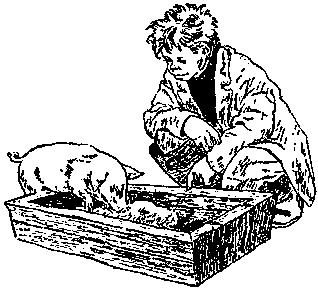 Али-баба и Куриная Фея i_008.png