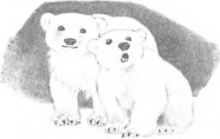 Большая Хета сердится i_004.jpg