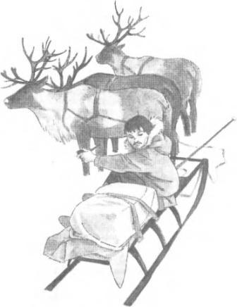Большая Хета сердится i_012.jpg