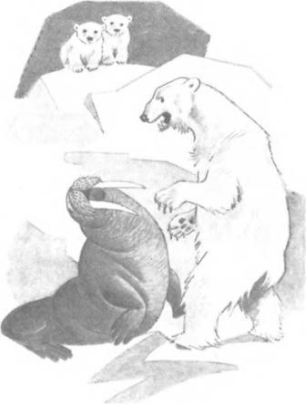 Большая Хета сердится i_005.jpg