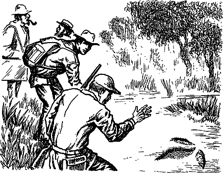 Затерянная земля i_033.png