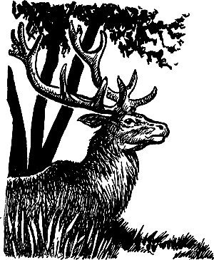 Затерянная земля i_037.png