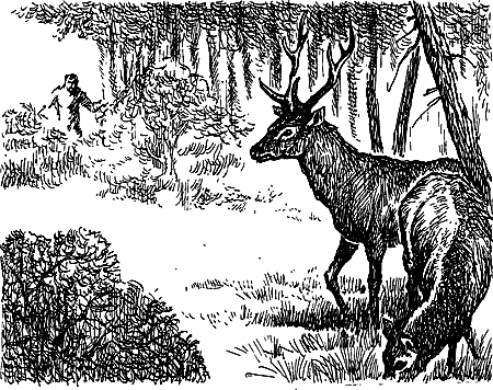 Затерянная земля i_084.png