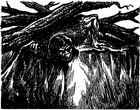 Затерянная земля i_087.png
