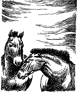 Затерянная земля i_098.png