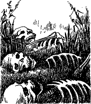 Затерянная земля i_101.png