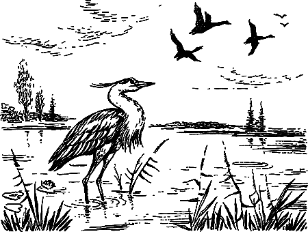 Пещерный лев (сборник) i_006.png