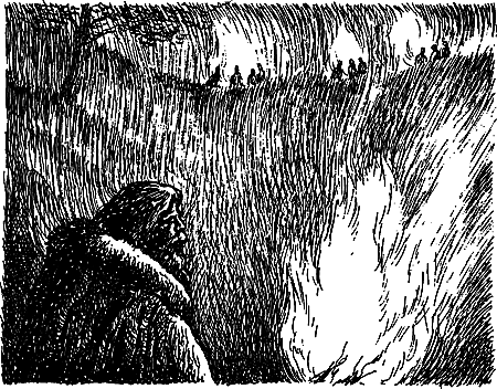 Пещерный лев (сборник) i_110.png