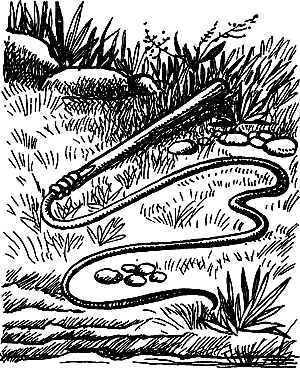 Пещерный лев (сборник) i_112.png