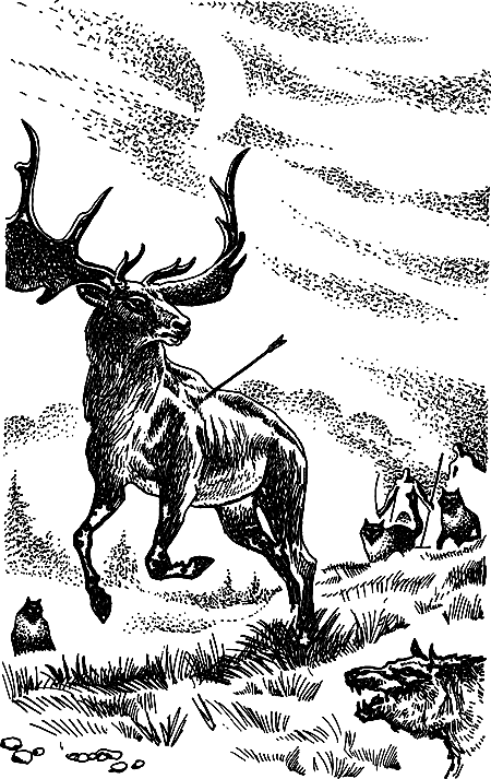 Пещерный лев (сборник) i_116.png