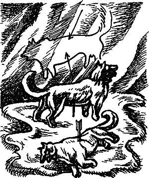 Пещерный лев (сборник) i_119.png