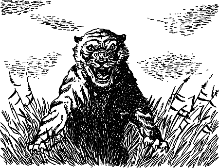 Пещерный лев (сборник) i_015.png